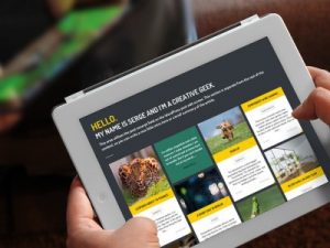 large_8430388219-400x300