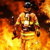 شهادت آتش نشانهای فداکار