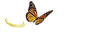 گروه پزشكان تناسب اندام و زيبايي گلاريس